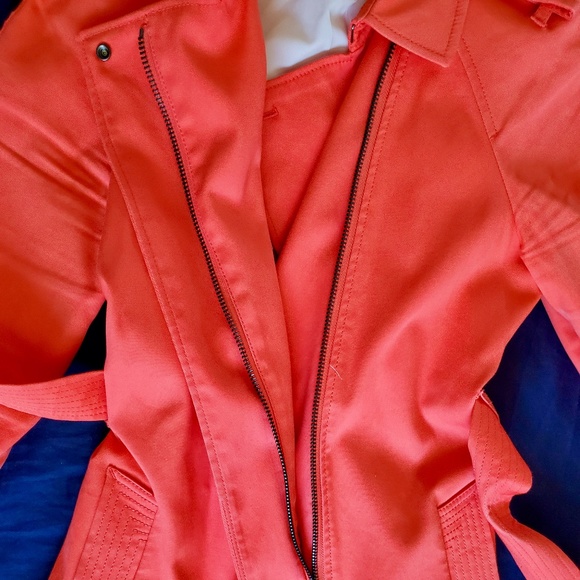 Trench Coat - Picture 6 of 10